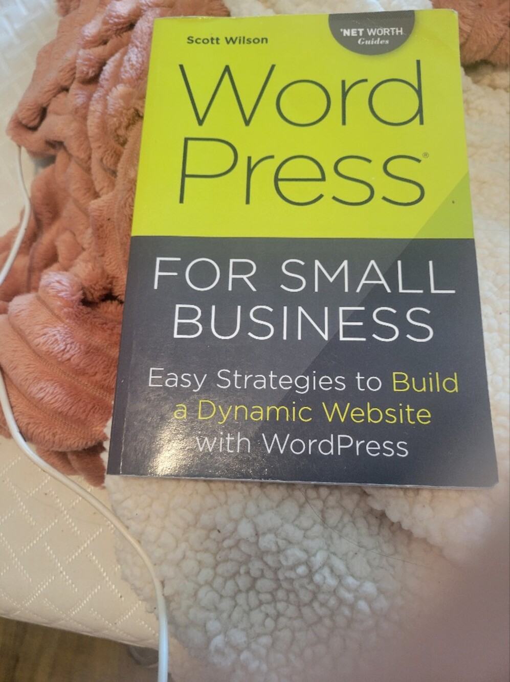 WordPress For Small Business Book